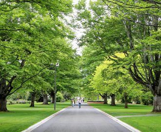 Queen’s Park Image