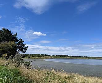 Waihopai Walkway Image 1