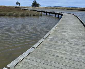 Waihopai Walkway Image